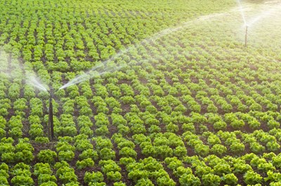 Düngung mit wasserfreiem Ammoniak